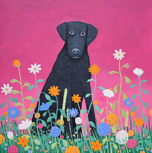 Black labrador sitting in wild flowers
