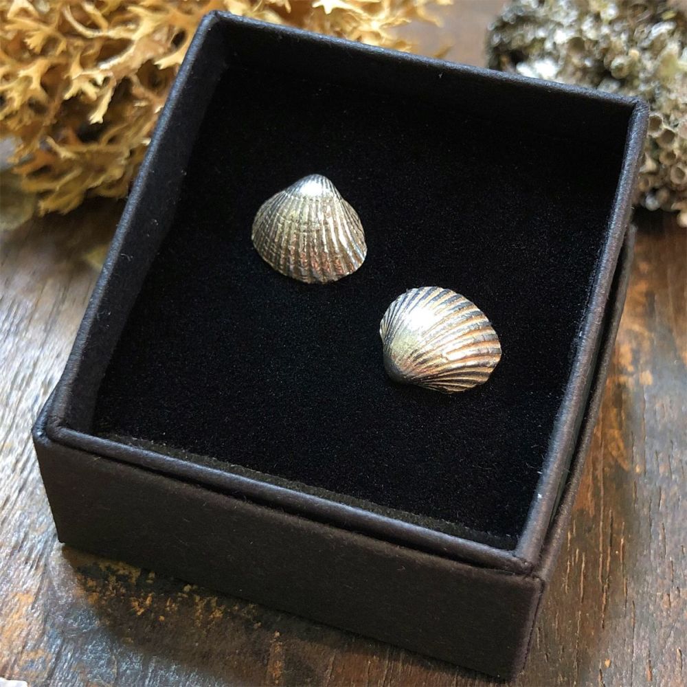 solid silver seashell earrings, hand crafted in the uk