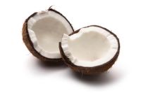 Coconut 50ml (BN 2311) *DISCONTINUED*