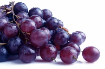 Grape Lip Balm Flavour Oil 25ml (BN 6251)