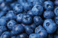 Blueberry 50ml (BN 7412)