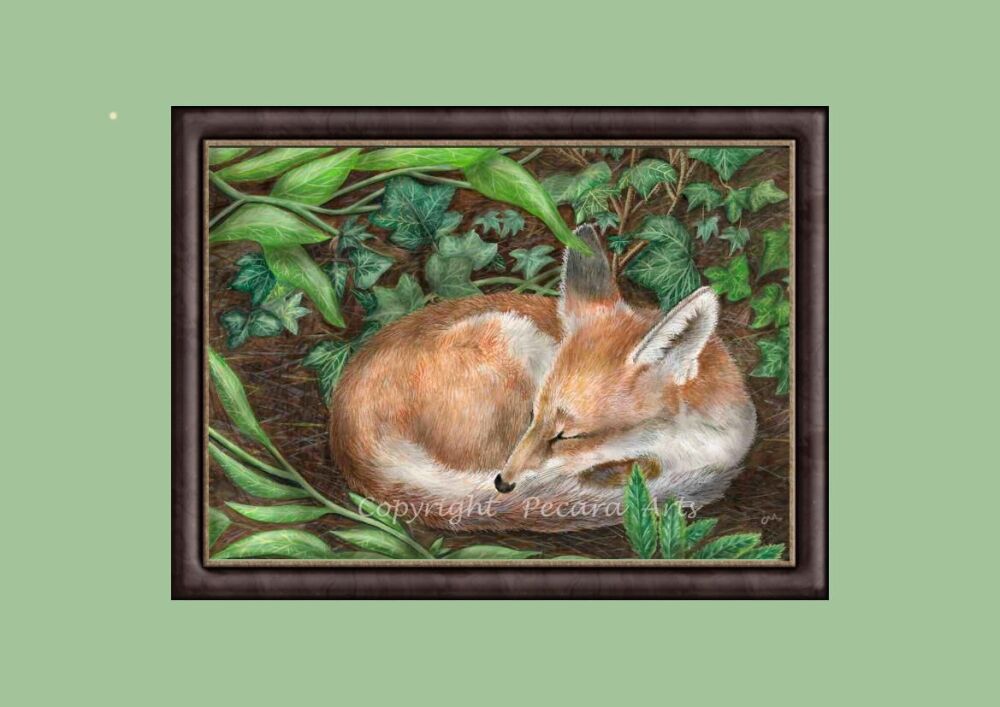 Sleeping fox, A4 Giclee art print of original watercolour.