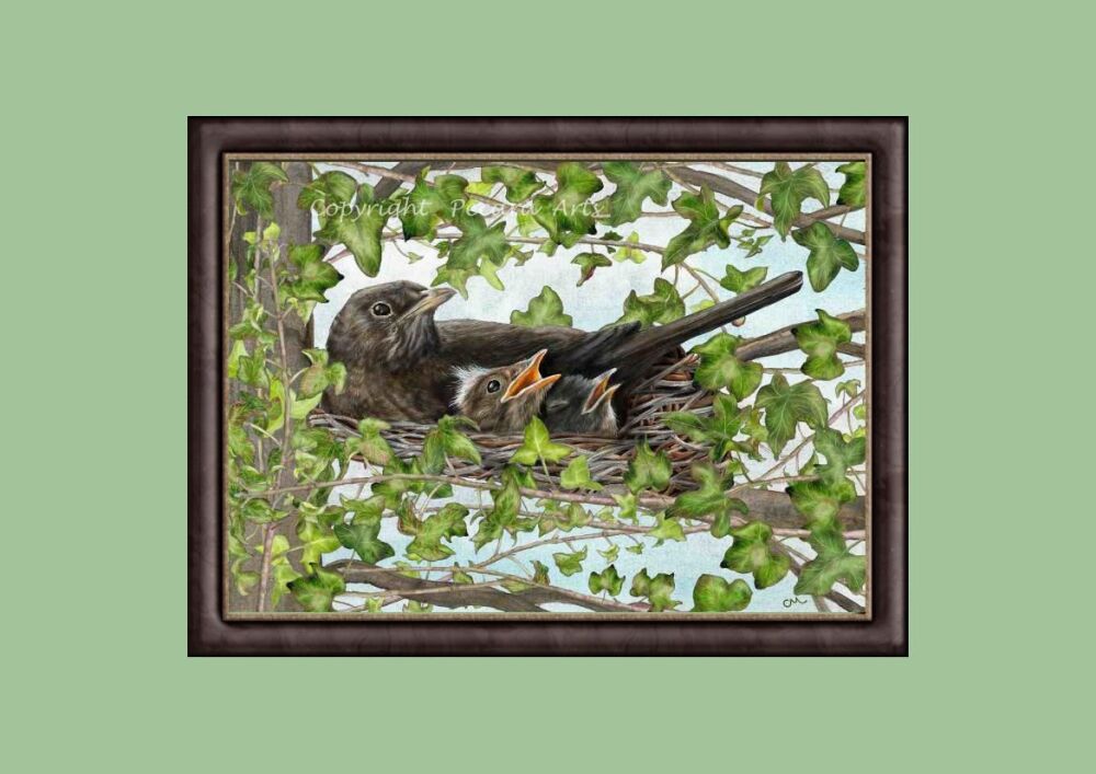 Nesting bird with her chicks. A4 or A3 Giclee art print or original mixed media artwork.