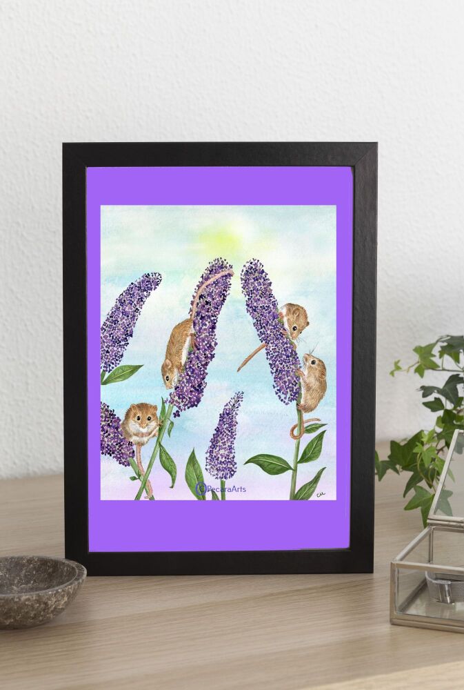 Harvest mice at lunch, A4 Giclee print of original watercolour.