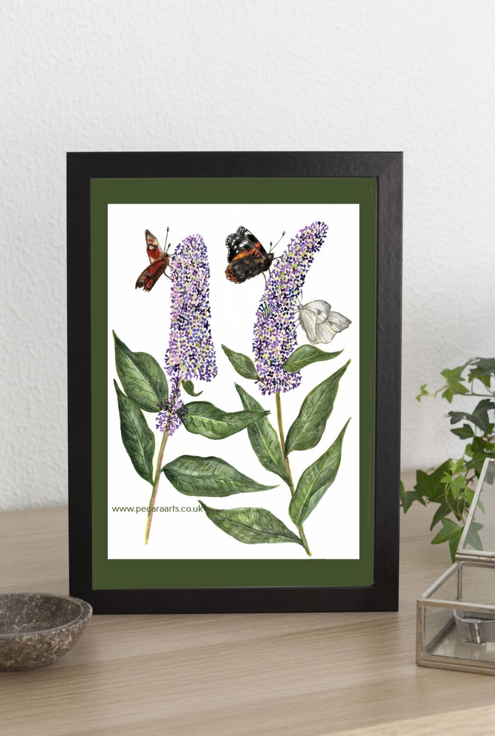 Buddleia and butterflies