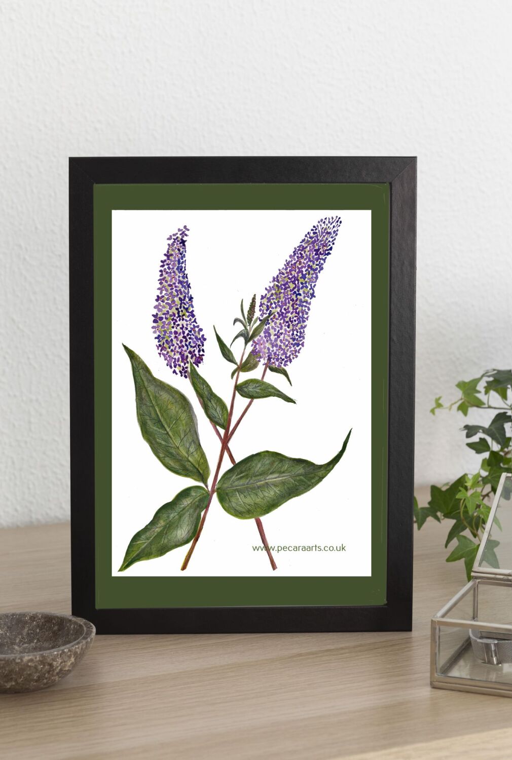 Buddleia flowers