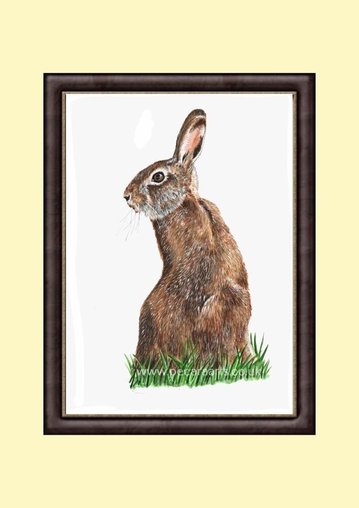 Hare alert, A4 Giclee art print, as seen on You Tube.