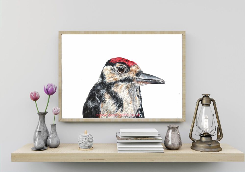 Woodpecker  A4 Giclee print from original watercolour.