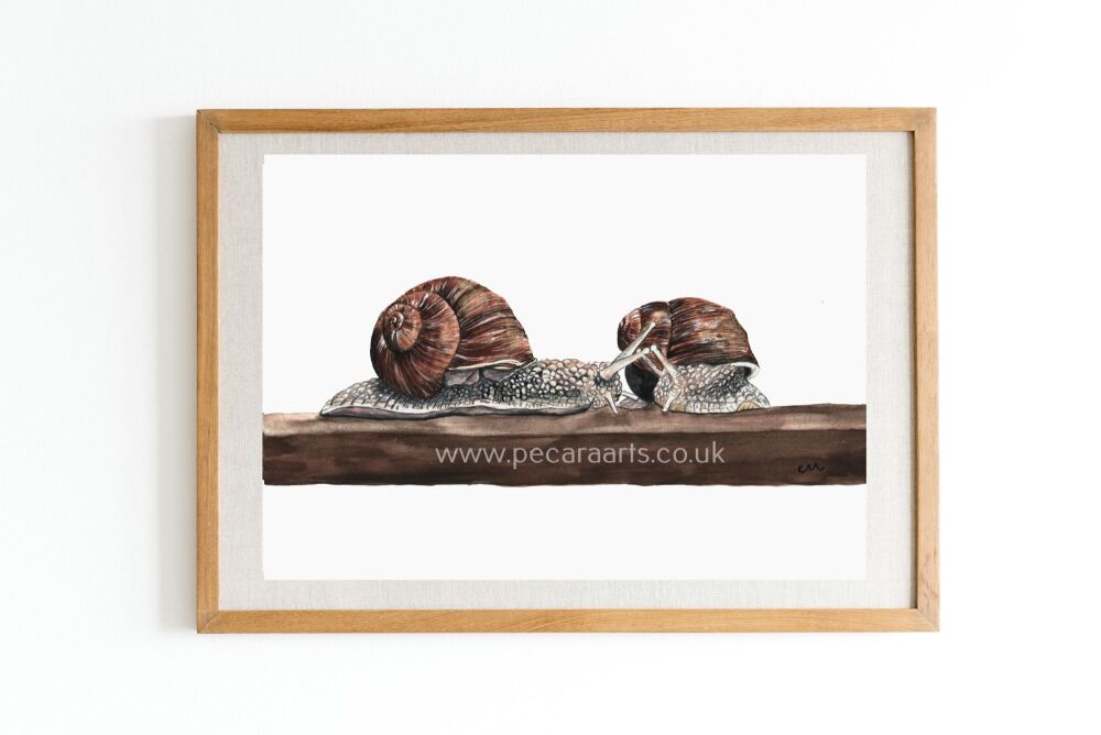 Snails Gossiping. Fine art print of original watercolour.