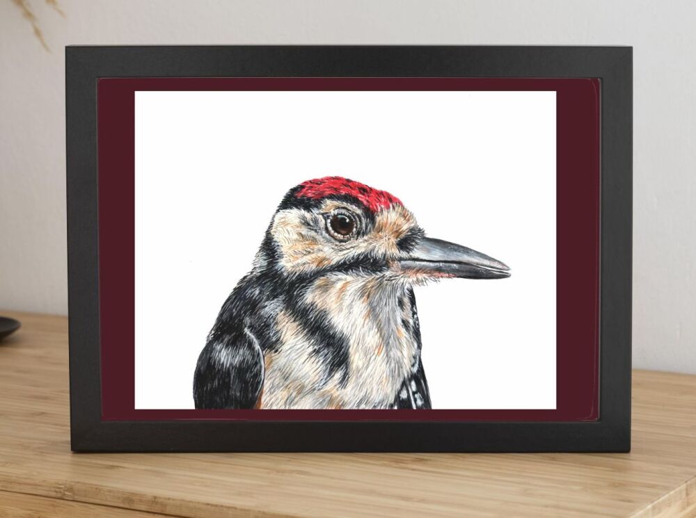 Woodpecker  fine art print of original watercolour, as seen on You Tube.