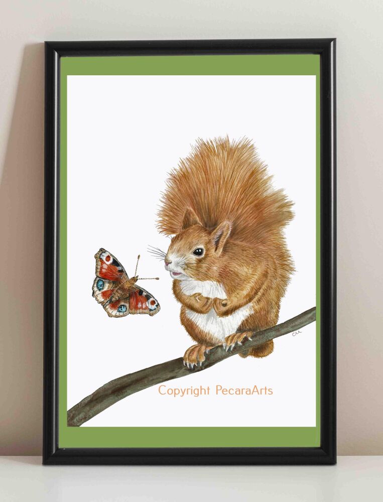 "Hello!", Red Squirrel and Butterfly. Fine art print of original watercolour.