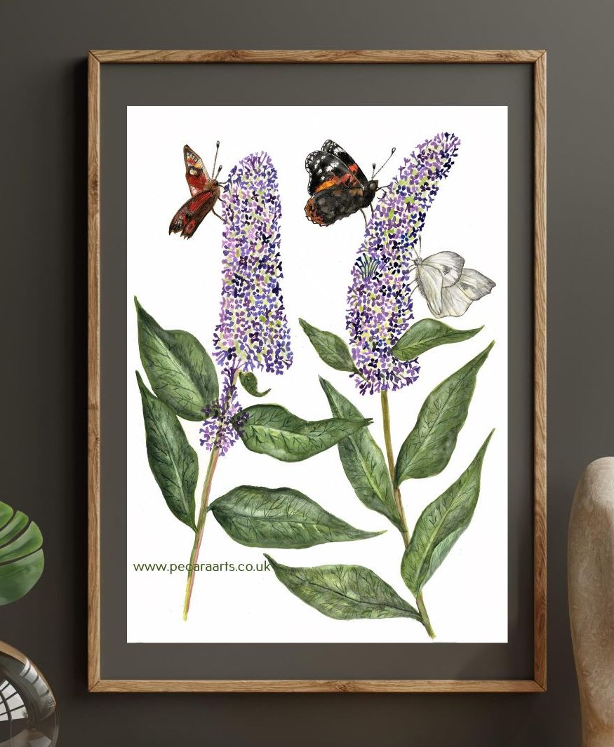 Buddleia and butterflies. Fine art print of original watercolour.