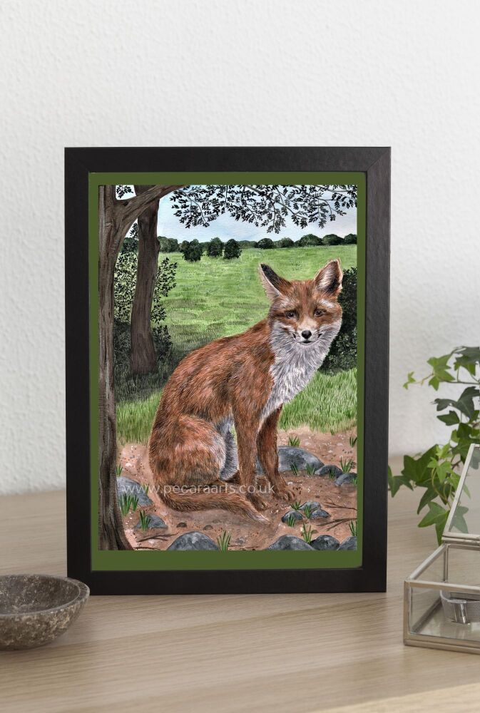 Fox sitting under a tree. Fine art print of original watercolour.