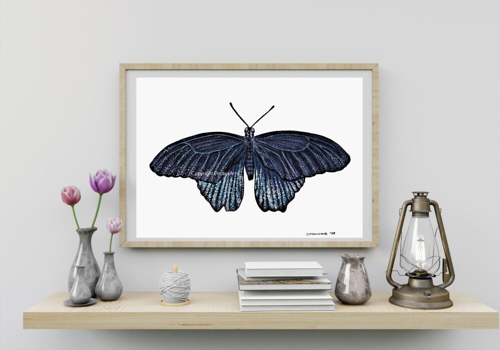 The Great Mormon butterfly, A5 Fine art print of original watercolour.