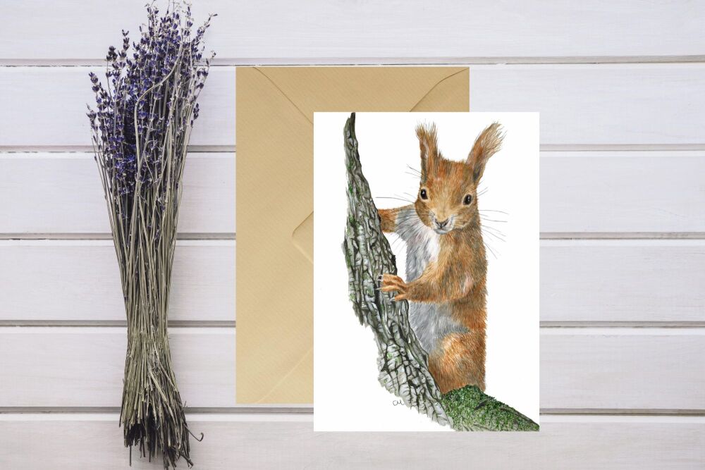 Curious squirrel, 5x7 greeting card.