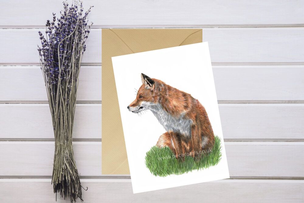 Fox watching. 5x7inches greeting card.