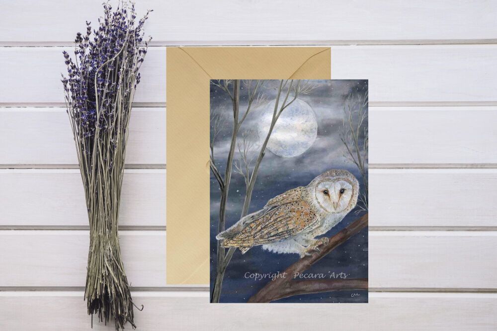 Watching barn owl in moonlit forest. 5x7inches greeting card.