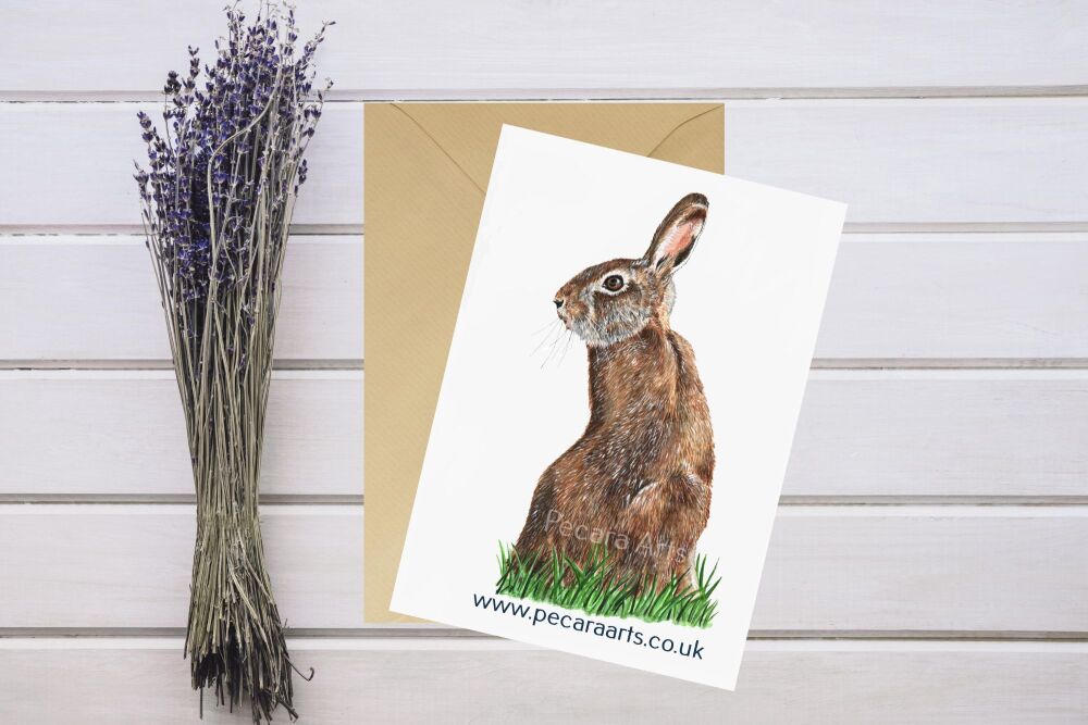 Hare. 5x7inches Greetings card.