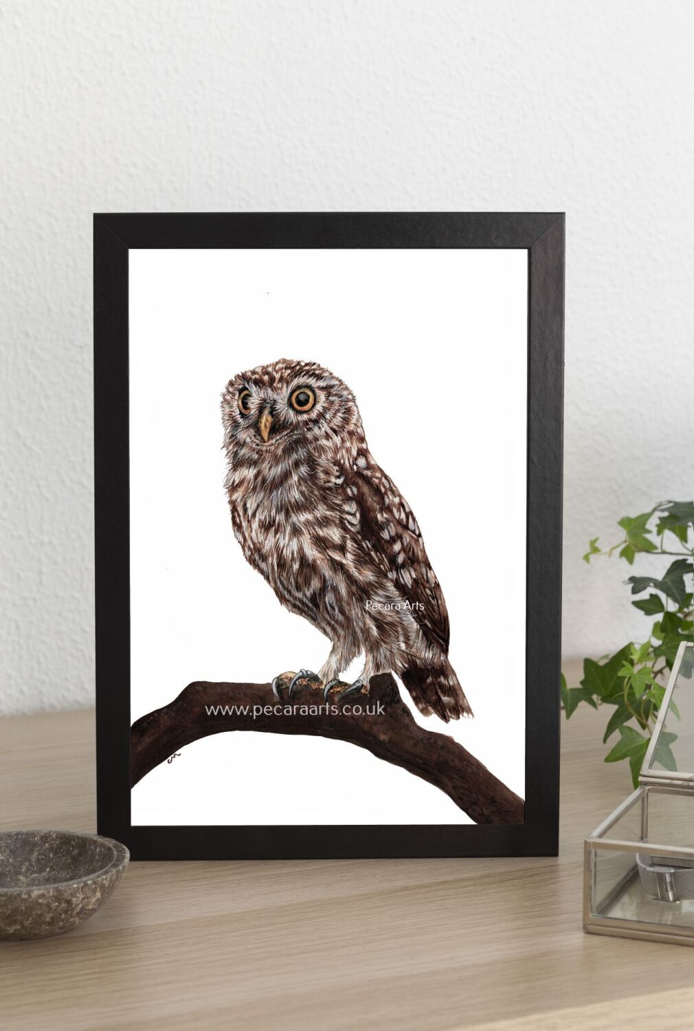 Little Owl A5 Fine art print of original watercolour.