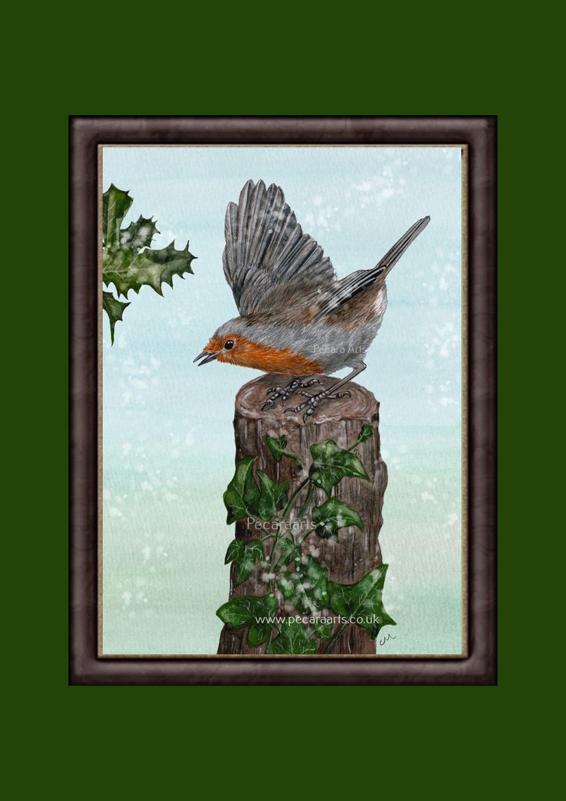 Festive Robin Fine Art Print of original watercolour.