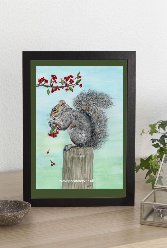 Festive grey squirrel. Fine art print of original watercolour painting.