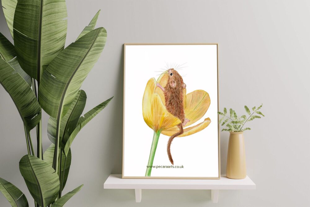 Mouse in yellow tulip