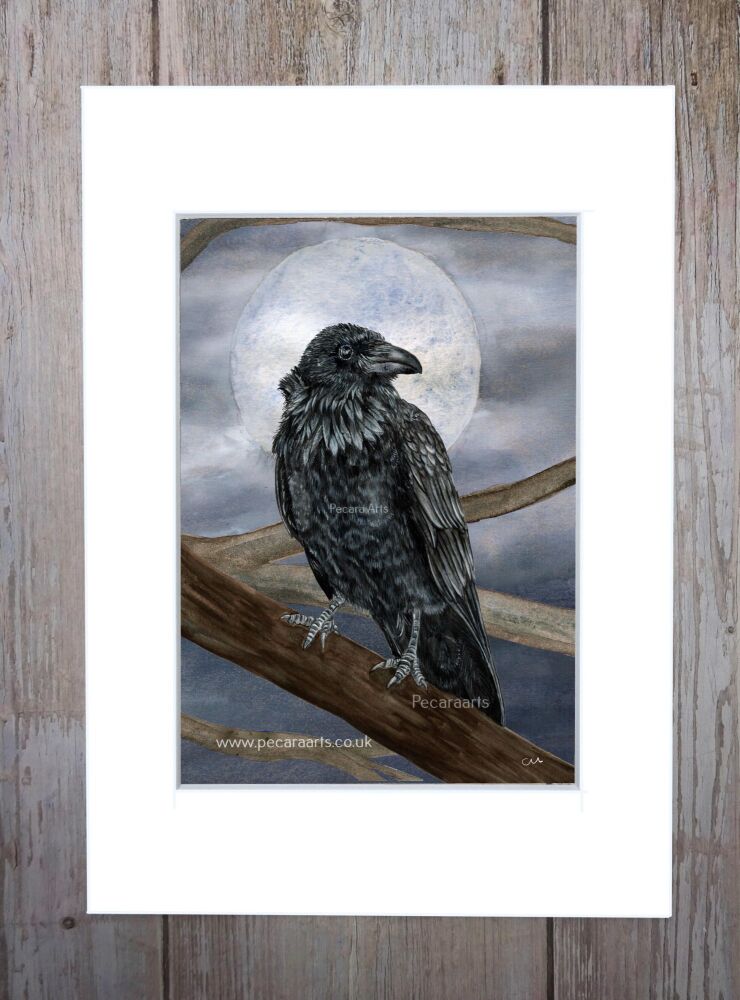 Raven in Moonlight. Fine art print of original watercolour.