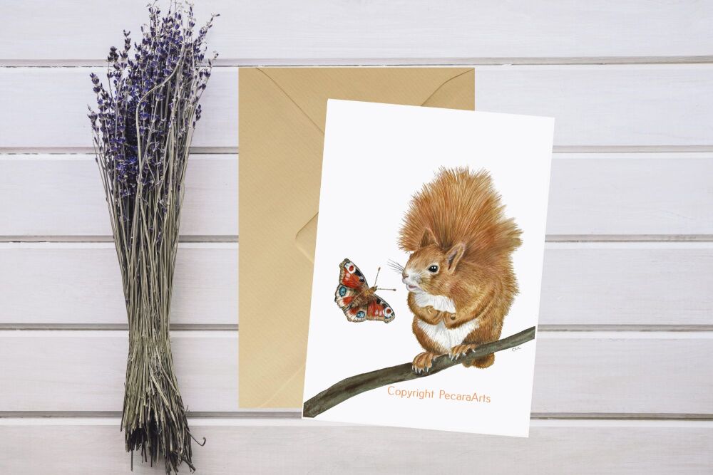 Red squirrel and butterfly. 5x7 greetings card.