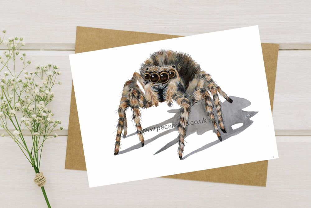 Jumping Spider. 5x7 inch greeting card.