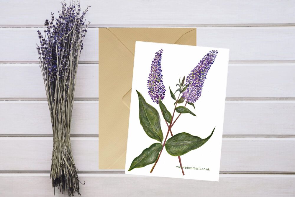 Buddleia flowers. 5 x 7 Greeting Card.