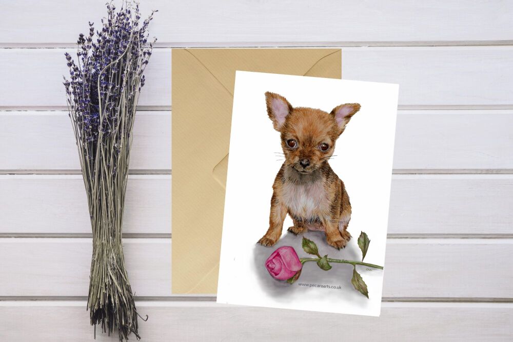 Chihuahua puppy and rose. 5x7 Greeting Card