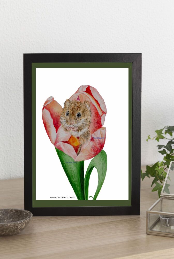 Mouse in pink tulip. Art print of original watercolour.