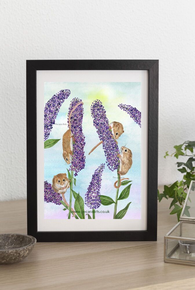Harvest mice at lunch. Fine art print of original watercolour.