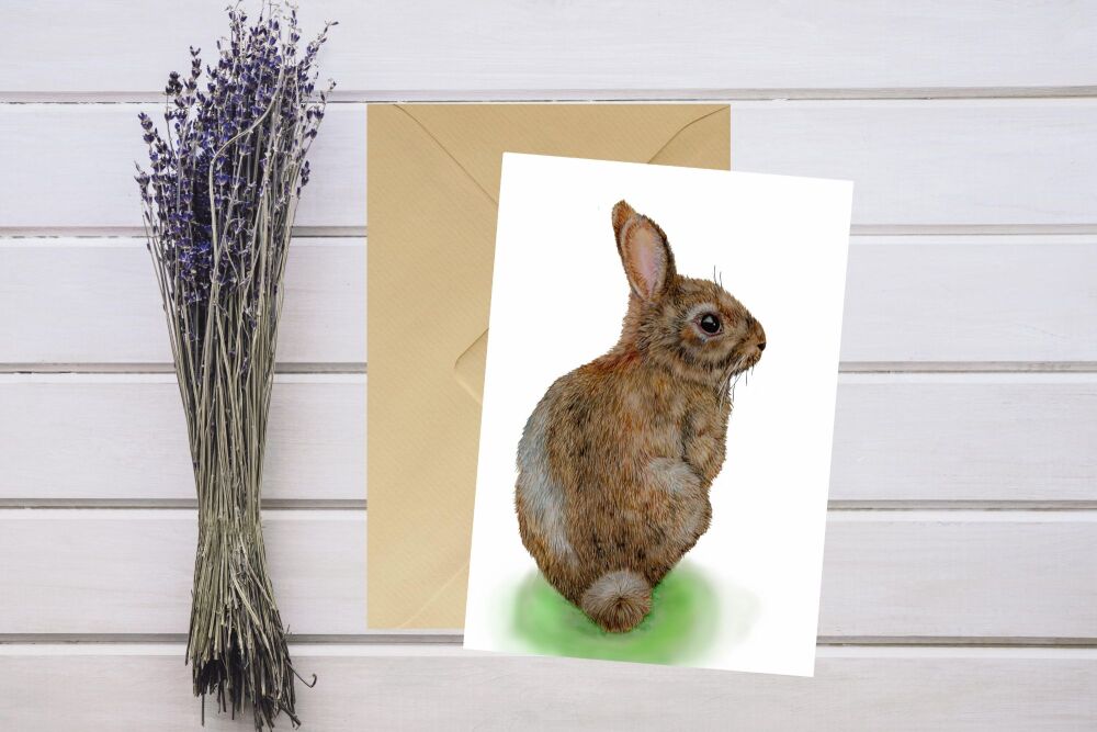 Wild Rabbit. 5x7 Greetings Card