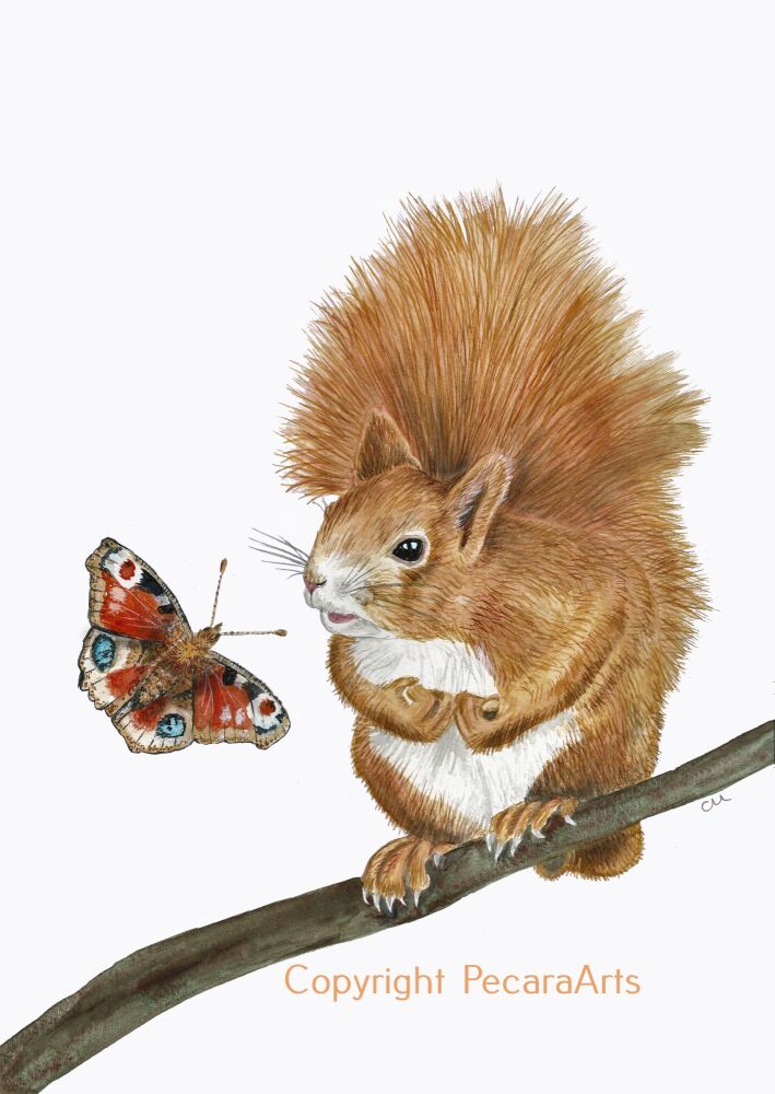 "Hello!", Red Squirrel and Butterfly. Fine art print of original watercolour.
