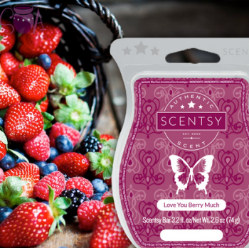 loe you berry much scentsy wick free candle wax bar