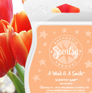 wink and a smile wick free scented candle wax bar scentsy