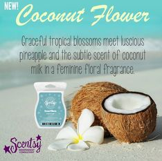 coconut wick free scented candle wax bar scentsy
