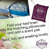 scent pak scentsy wick free scented candles