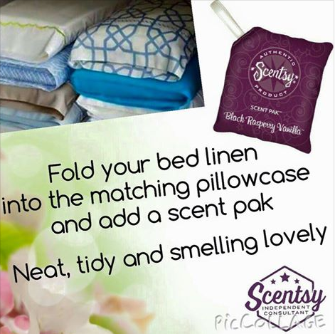 Scentsy scent pak camping