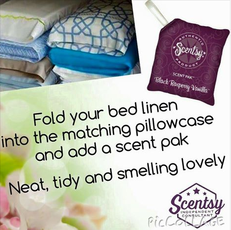 Scentsy scent pak caravan