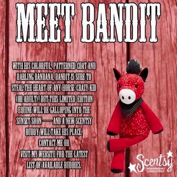 bandit the scentsy buddy