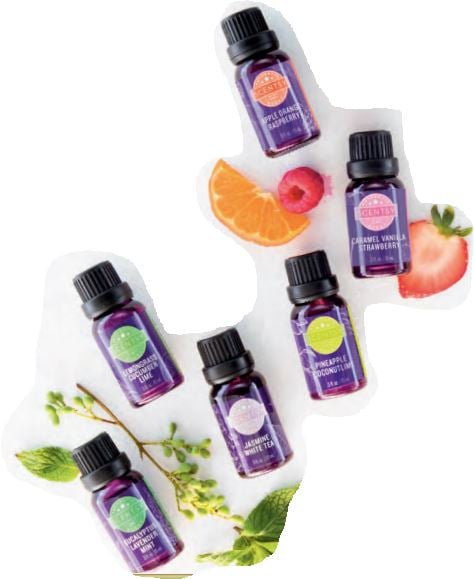 scentsy oils wick free scented fragrances