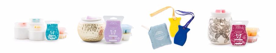 explore scentsy brochure products