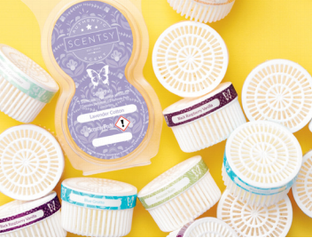 scentsy pods