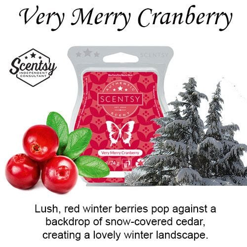 Very Merry Cranberry Scentsy Bar wick free scented candles