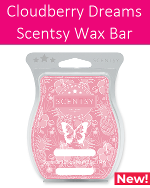 Cloudberry Dreams Scentsy Bar wick free scented candles
