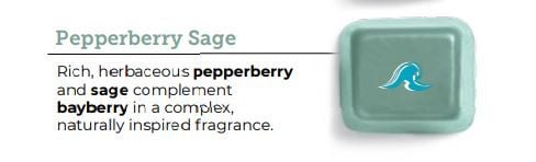 Pepperberry Sage Scentsy Bar wick free scented candles
