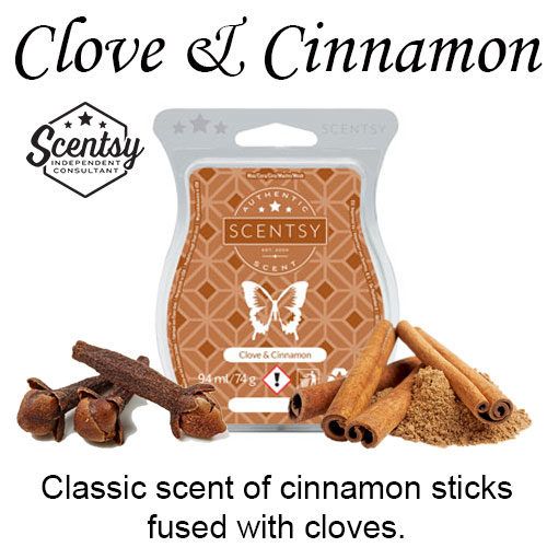 Clove & Cinnamon Sticks Scentsy Bar wick free scented candles