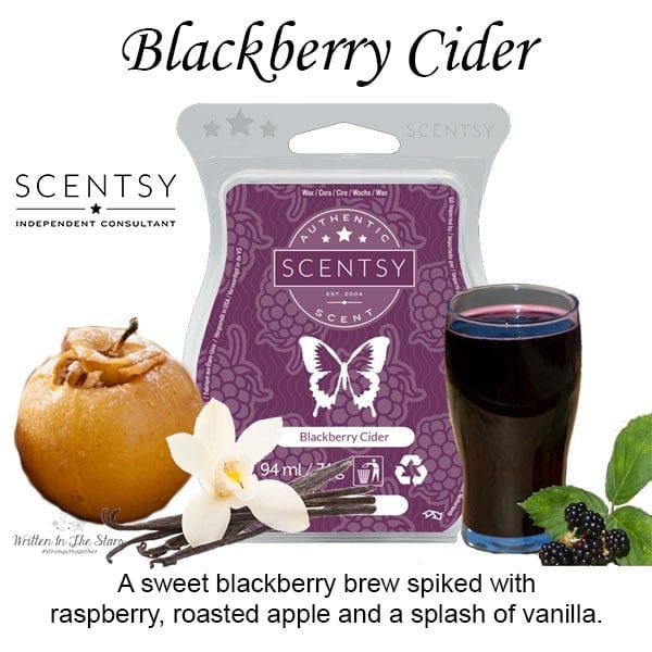 Blackberry Cider Scentsy Bar wick free scented candles